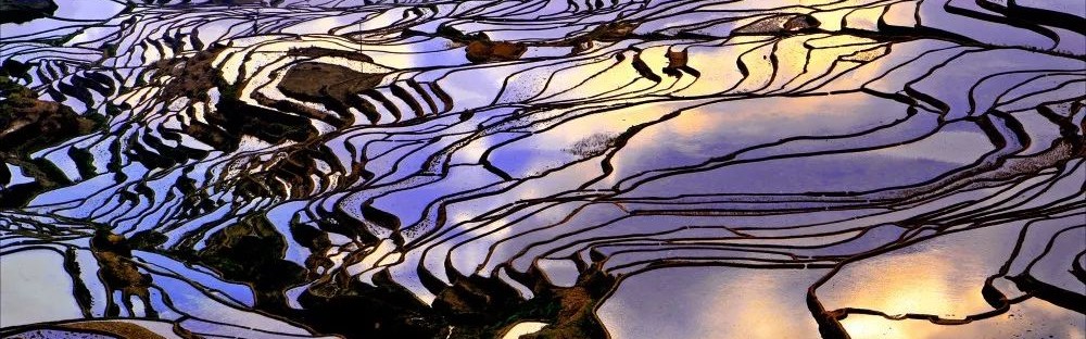  谢菲尔德联虽败犹荣面对领头羊展现顽强斗志