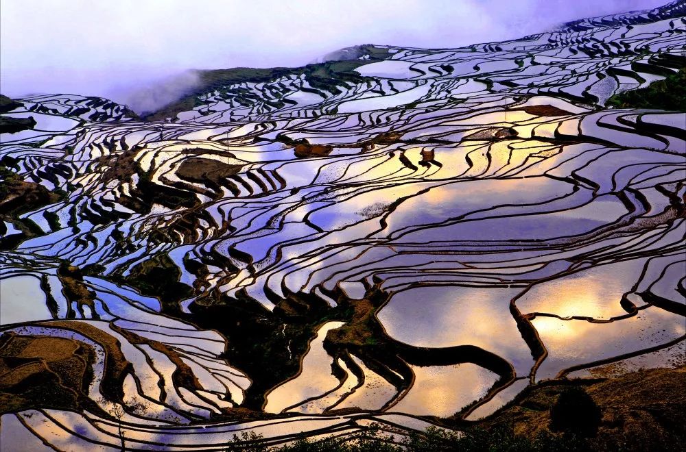  谢菲尔德联虽败犹荣面对领头羊展现顽强斗志